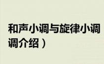 和声小调与旋律小调（关于和声小调与旋律小调介绍）