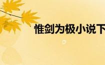 惟剑为极小说下载（惟剑为极）