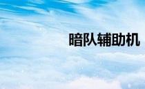 暗队辅助机（暗组辅助）