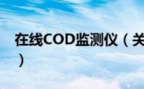 在线COD监测仪（关于在线COD监测仪简介）