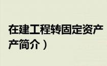 在建工程转固定资产（关于在建工程转固定资产简介）