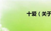 十爱（关于十爱简介）