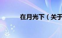 在月光下（关于在月光下简介）