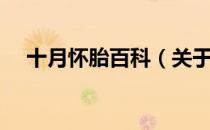 十月怀胎百科（关于十月怀胎百科简介）