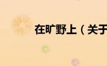 在旷野上（关于在旷野上简介）