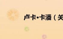 卢卡·卡潘（关于卢卡·卡潘）