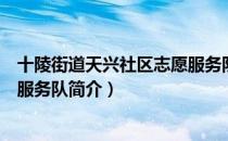 十陵街道天兴社区志愿服务队（关于十陵街道天兴社区志愿服务队简介）