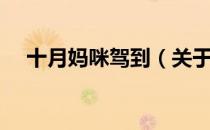 十月妈咪驾到（关于十月妈咪驾到简介）