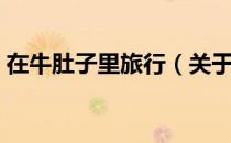 在牛肚子里旅行（关于在牛肚子里旅行简介）