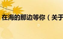 在海的那边等你（关于在海的那边等你简介）