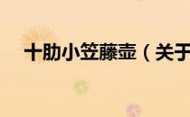 十肋小笠藤壶（关于十肋小笠藤壶简介）