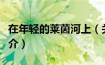 在年轻的莱茵河上（关于在年轻的莱茵河上简介）