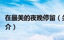 在最美的夜晚停留（关于在最美的夜晚停留简介）