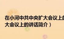 在小河中共中央扩大会议上的讲话（关于在小河中共中央扩大会议上的讲话简介）