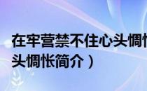 在牢营禁不住心头惆怅（关于在牢营禁不住心头惆怅简介）