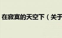 在寂寞的天空下（关于在寂寞的天空下简介）