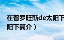 在普罗旺斯de太阳下（关于在普罗旺斯de太阳下简介）