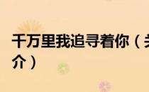 千万里我追寻着你（关于千万里我追寻着你简介）
