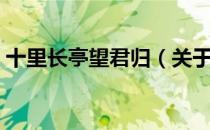 十里长亭望君归（关于十里长亭望君归简介）