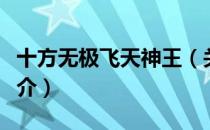十方无极飞天神王（关于十方无极飞天神王简介）
