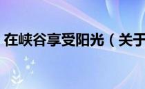 在峡谷享受阳光（关于在峡谷享受阳光简介）
