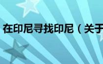 在印尼寻找印尼（关于在印尼寻找印尼简介）