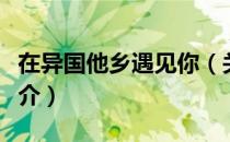 在异国他乡遇见你（关于在异国他乡遇见你简介）