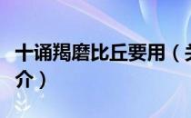 十诵羯磨比丘要用（关于十诵羯磨比丘要用简介）