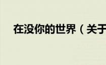 在没你的世界（关于在没你的世界简介）