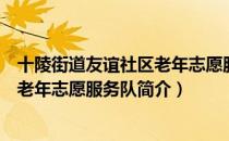 十陵街道友谊社区老年志愿服务队（关于十陵街道友谊社区老年志愿服务队简介）