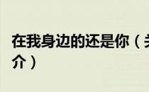 在我身边的还是你（关于在我身边的还是你简介）