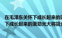 在毛泽东关怀下成长起来的萧劲光大将（关于在毛泽东关怀下成长起来的萧劲光大将简介）