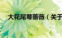 大花尾萼蔷薇（关于大花尾萼蔷薇简介）