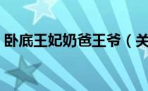 卧底王妃奶爸王爷（关于卧底王妃奶爸王爷）