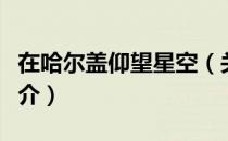 在哈尔盖仰望星空（关于在哈尔盖仰望星空简介）
