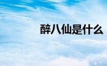 醉八仙是什么（醉八仙职业）