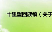 十里望回族镇（关于十里望回族镇简介）