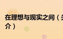 在理想与现实之间（关于在理想与现实之间简介）