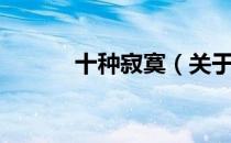 十种寂寞（关于十种寂寞简介）