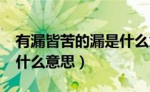 有漏皆苦的漏是什么意思?（有漏皆苦的漏是什么意思）