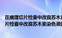 在病理切片检查中改良苏木素染色液的研究（关于在病理切片检查中改良苏木素染色液的研究简介）