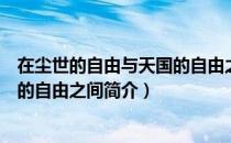 在尘世的自由与天国的自由之间（关于在尘世的自由与天国的自由之间简介）