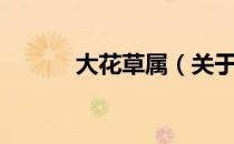 大花草属（关于大花草属简介）