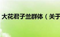 大花君子兰群体（关于大花君子兰群体简介）
