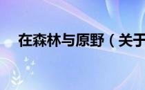 在森林与原野（关于在森林与原野简介）