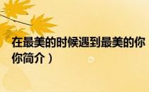 在最美的时候遇到最美的你（关于在最美的时候遇到最美的你简介）