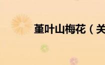 堇叶山梅花（关于堇叶山梅花）