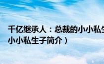 千亿继承人：总裁的小小私生子（关于千亿继承人：总裁的小小私生子简介）