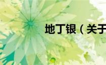 地丁银（关于地丁银简介）