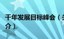 千年发展目标峰会（关于千年发展目标峰会简介）
